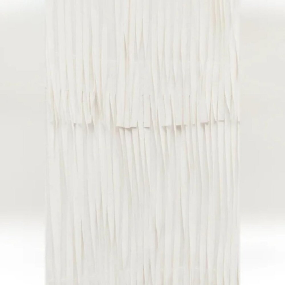 ZARA FRINGED PENCIL SKIRT ZW COLLECTION - Picture 8 of 8